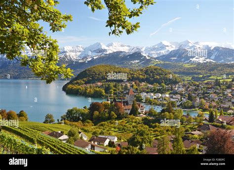 Spiez Castle, Switzerland Stock Photo - Alamy