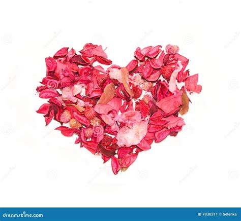 Heart Made Of Petals Of Roses Stock Image Image