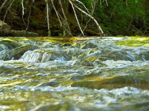 Local experts explain what new census data means for Pataskala OH 11