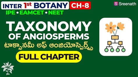 Taxonomy Of Angiosperms Full Chapter In Ts Ap Inter St Year