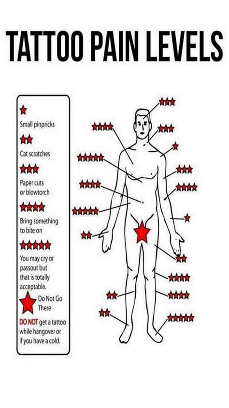 Discover More Than 81 Tattoo Pain Level Chart In Coedo Vn