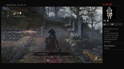 Bloodborne Strength Bloodtinge Build YouTube