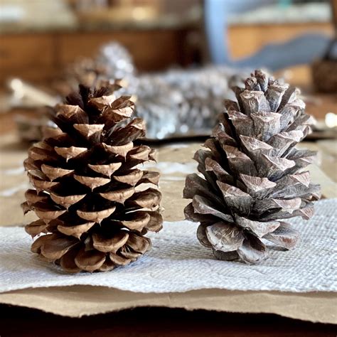 How To Make Bleached Pinecones Without Bleach - Nature Way