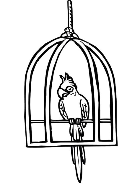 Parrot Cute Bird Cage Coloring Pages Best Place To Color