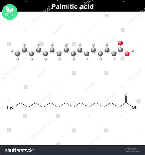 Palmitic Acid Molecule Molecular Structure Chemical Stock Illustration ...