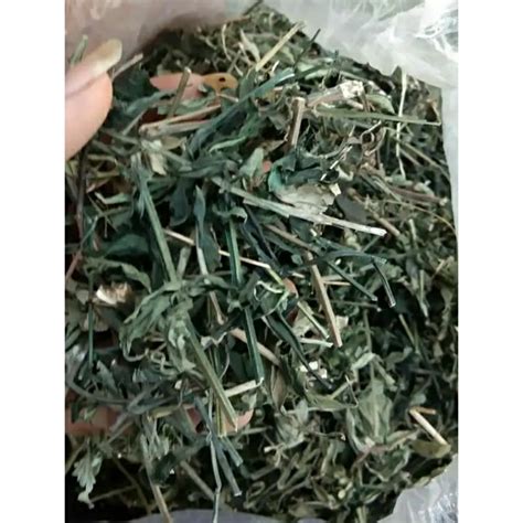 Jual Daun Sambiloto Kering Asli 1kg Sambiloto Cacah Kering Shopee