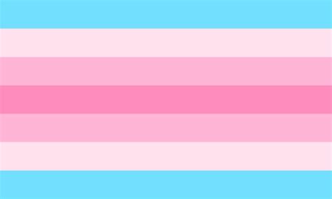 Transfeminine Pride Flag Licensed Element