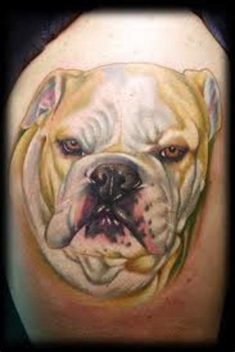 Bulldog Tattoos And Designs Bulldog Tattoo Meanings And Ideas Facts