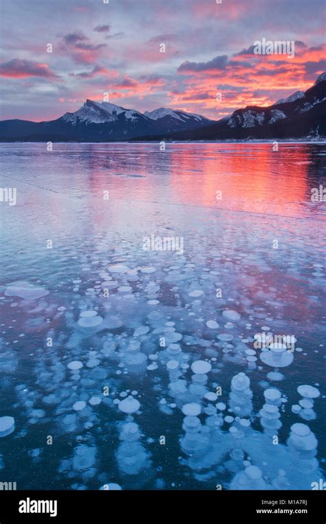 Frozen Methane Bubbles Winter Abraham Lake Canadian Rockies Alberta