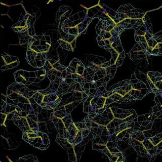 Diagram Of The Active Site Of A Diiron Protein Residue Positions Are