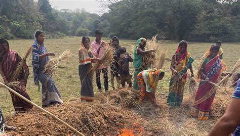 Sinkit Bamboo Biochar