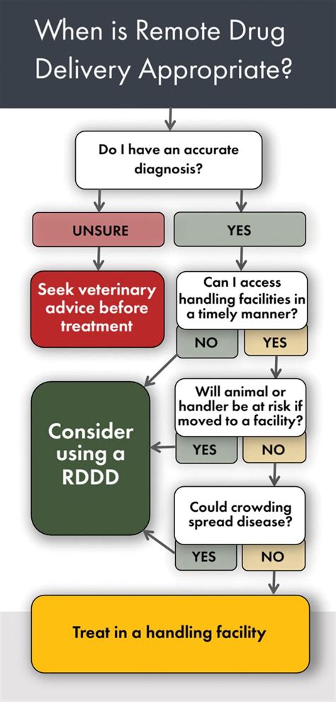 Preventing Negative Side Effects Of Cattle Vaccinations