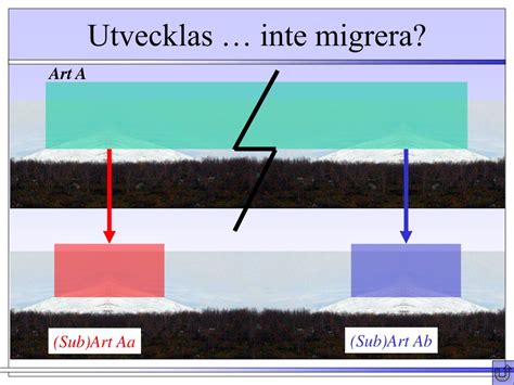 Ppt Arkeologi Ab Milj Arkeologi Powerpoint Presentation Free