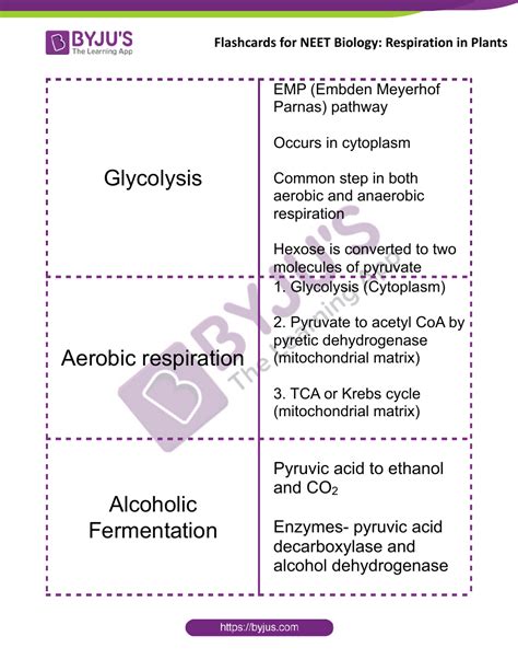 Neet Biology Flashcards Respiration In Plants Download Printable Pdf