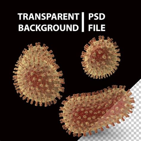 Bacilo Bacteria Png Archivo PSD Premium