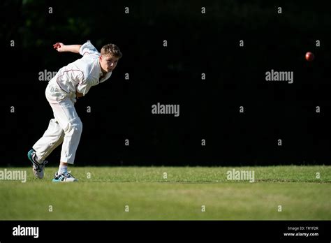 Cricket, bowler in action Stock Photo - Alamy