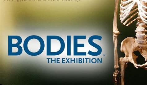 DISCOUNTS: Get 35% off tickets to the "BODIES: The Exhibition" at ...