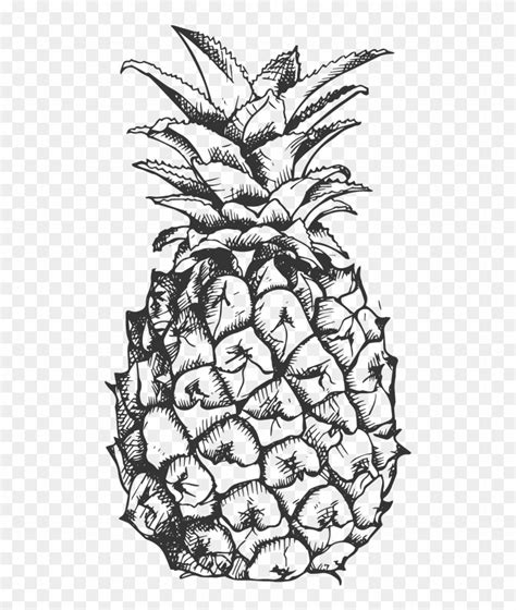 Svg Library Library Pinapple Drawing Sketch Pineapple Black And White