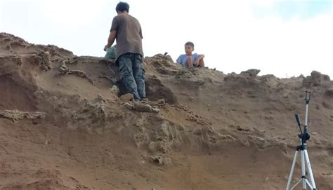 Increíble un niño de 8 años encontró los restos de un perezoso gigante