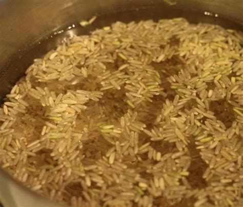 Comment Cuire Du Riz Basmati Complet Facile