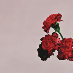 John Legend Albums And Discography