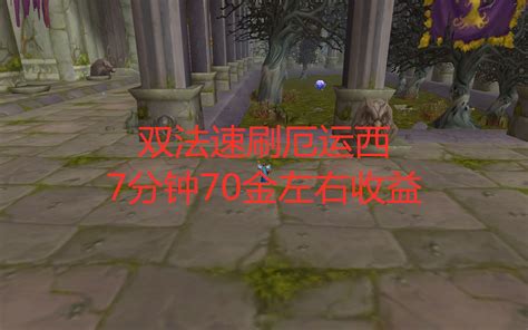 魔兽世界怀旧服双法速刷厄运西，7分钟70金左右收益 哔哩哔哩 Bilibili