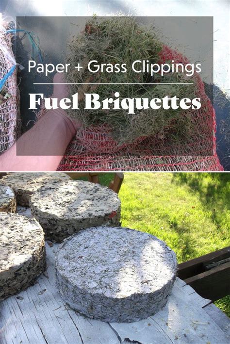 Paper + Grass Clippings Fuel Briquettes | Grass clippings, What is ...