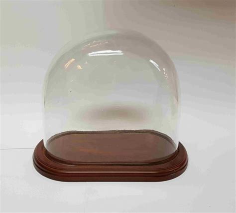 Oval Glass Dome Mar The Christmas Shop