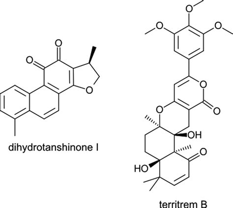 Crystal Structure Of Human Acetylcholinesterase Guides Drug Design Nysbc