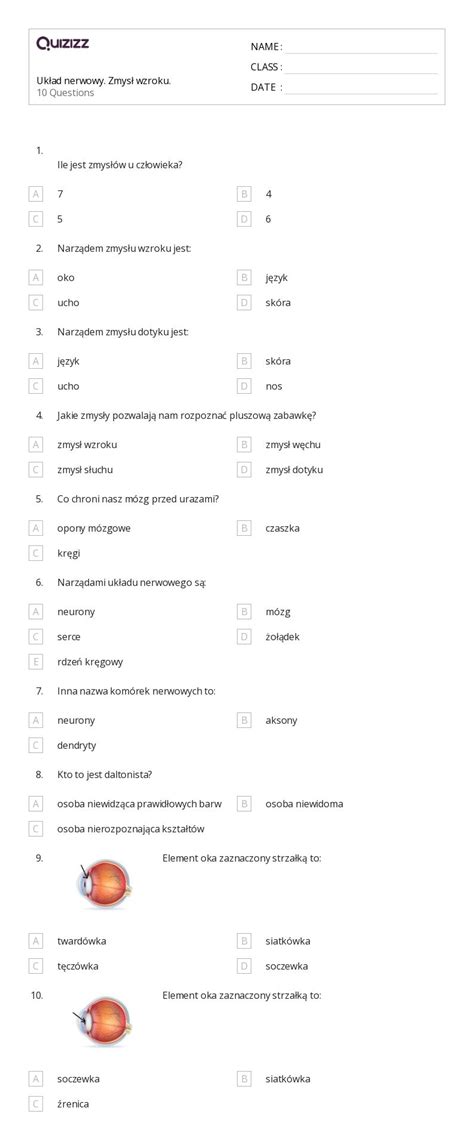Ponad 50 5 Zmysłów Arkuszy Roboczych Dla Klasa 4 W Quizizz Darmowe I