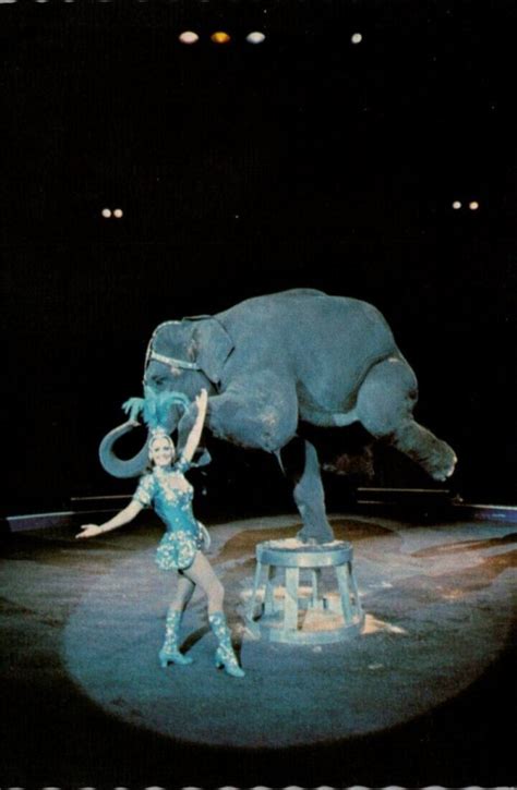 Ringling Brothers Barnum And Bailey Circus World Performing Elephant