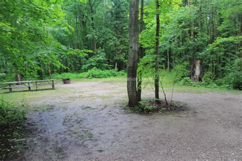 Campsite 104 In Mara Provincial Park Campground At Mara Provincial Park