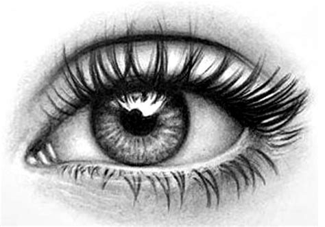 Pin By Mal Xtattoo Yeter On Malixtattoo Realistic Eye Tattoo Eye