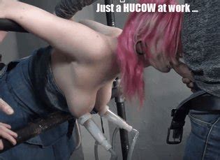 Hucows Luscious Hentai Manga Porn