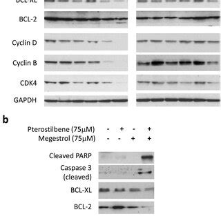 Synergistic Effects Of Pterostilbene PTE In Combination With