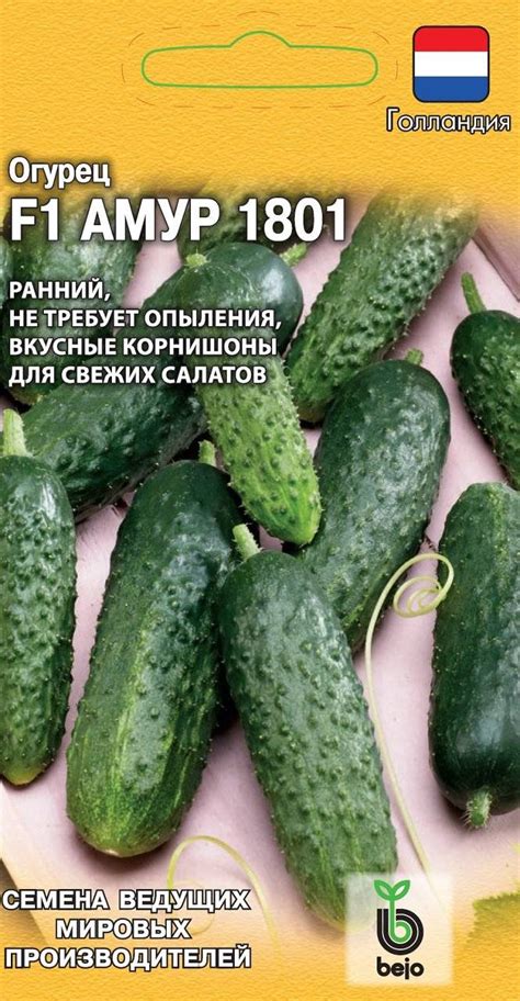 Огурец амур f1: описание, достоинства, правила выращивания, посев семян ...