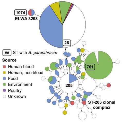 Maximum-likelihood multilocus sequence typing (MLST) phylogenetic tree ... 