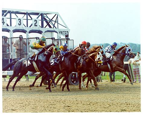 Secretariat Belmont Photo