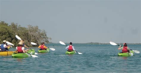 Green Living in Dubai: Kayaking in Abu Dhabi's Mangroves