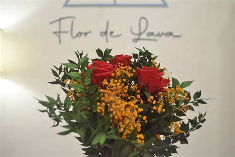 Flor de Lava - Consulta disponibilidad y precios