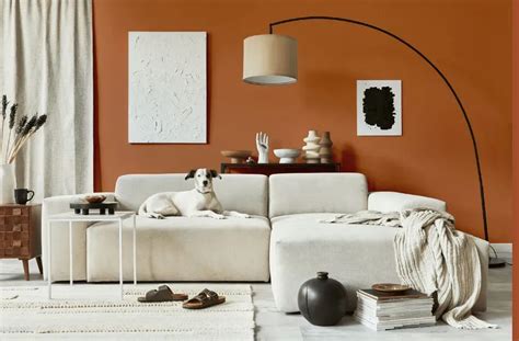 Benjamin Moore Sienna Clay Real Pictures