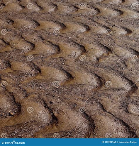 Crescent Pattern on Mud Flat Texture Stock Illustration - Illustration