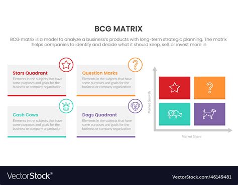 Bcg Growth Share Matrix Infographic Data Template Vector Image