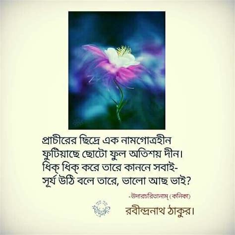 Beautiful Bengali Poem