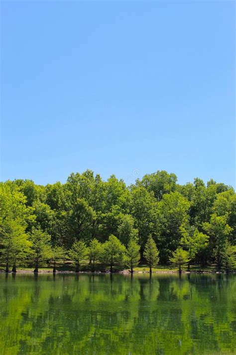 Lake Reflects Treeline Stock Image Image Of Nature 193554183