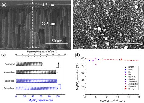 Morphology Of The H Tfc Membranes A Cross Section B Surface C