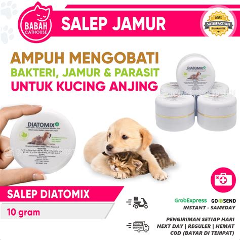 Jual Salep Diatomix Obat Scabies Kucing Cream Demodex Anjing Anti Kutu