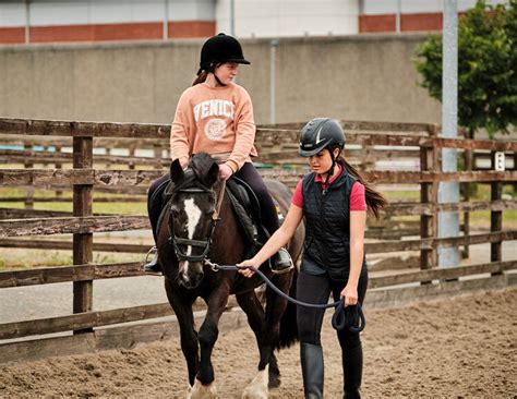 Equestrian Centre – Cherry Orchard Equine Centre