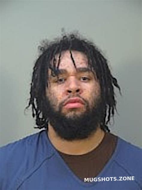 Nelson Brandon Lee 03152024 Dane County Mugshots Zone