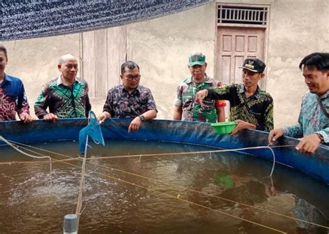 Tingkatkan Ketahanan Pangan Di Balangan Warga Desa Pamindaan Budidaya